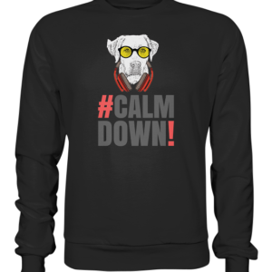 calm down *SCHNELLE LIEFERUNG Premium Sweatshirt