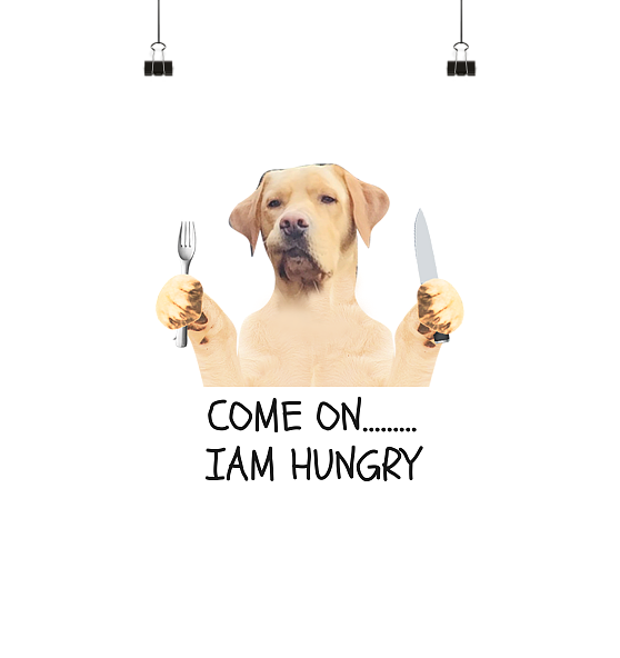 IAM HUNGRY BARNEY schnelle Lieferung Poster Poster Large A1   