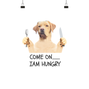 IAM HUNGRY BARNEY * schnelle Lieferung Poster Poster Small (A3+)